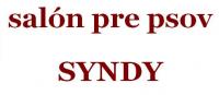 Salón pre psov SYNDY